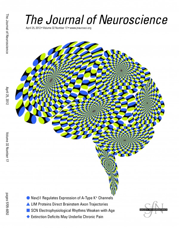 Martinez-Conde Lab's research featured on the Cover of The Journal of Neuroscience